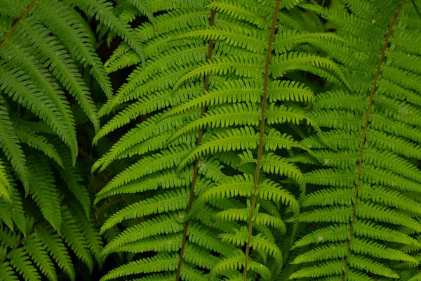 Découvrez où faire vos courses dans des épiceries zéro déchet: le guide ultime!