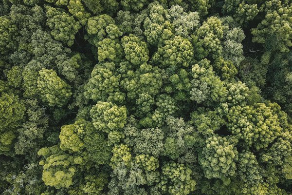 Découvrir empire streaming films : le guide essentiel pour profiter de vos séries et films préférés